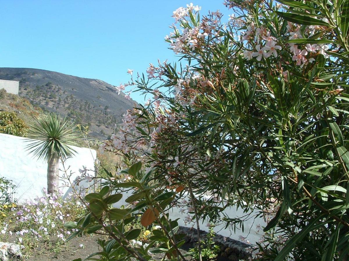 Casa Los Viñedos B Fuencaliente de la Palma Exterior foto